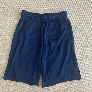 Nike Dark Blue Athletic Shorts